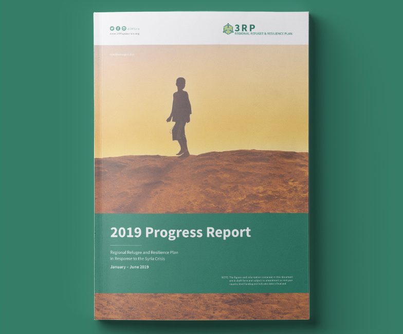 2019_progress_report_prev