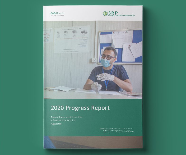 2020_progress_report_prev