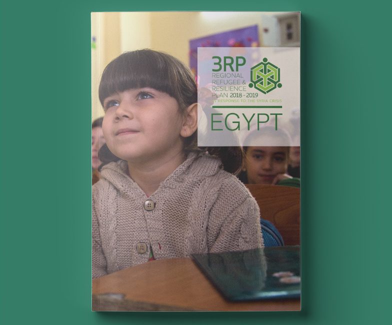 egypt_country_chapter_2018_19_prev
